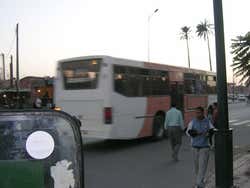 Transporte de Marrakech, ônibus ubano