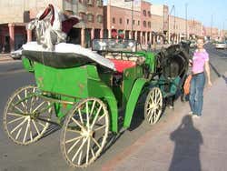 Passeio de charrete por Marrakech