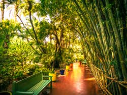 Percorrendo os jardins